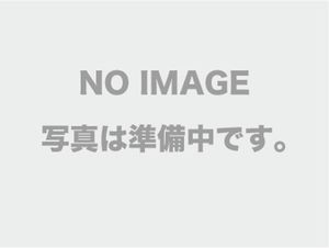 レイクフォレストリゾート　バードスプリングコースの紹介画像